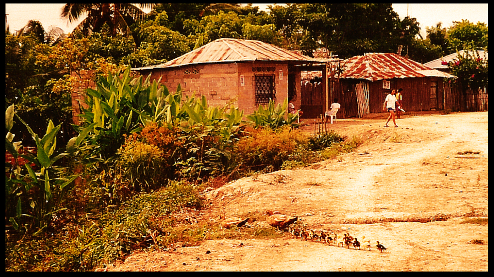 2 hens and a dozen following chickies
              cross an empty eroding dirt street in Poz&oacute;n