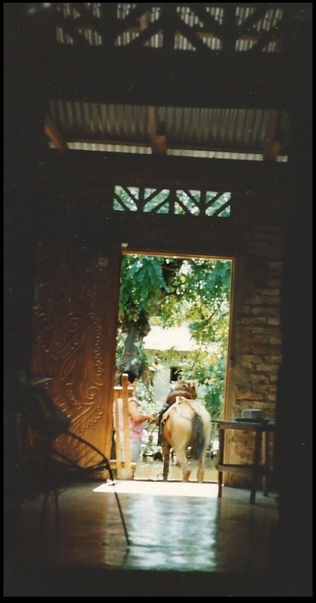 looking out Yazm&iacute;n's Santisima
              Cruz front door onto camino, canal and Omar's horse being
              dressed; cheese on table inside the door is for sale