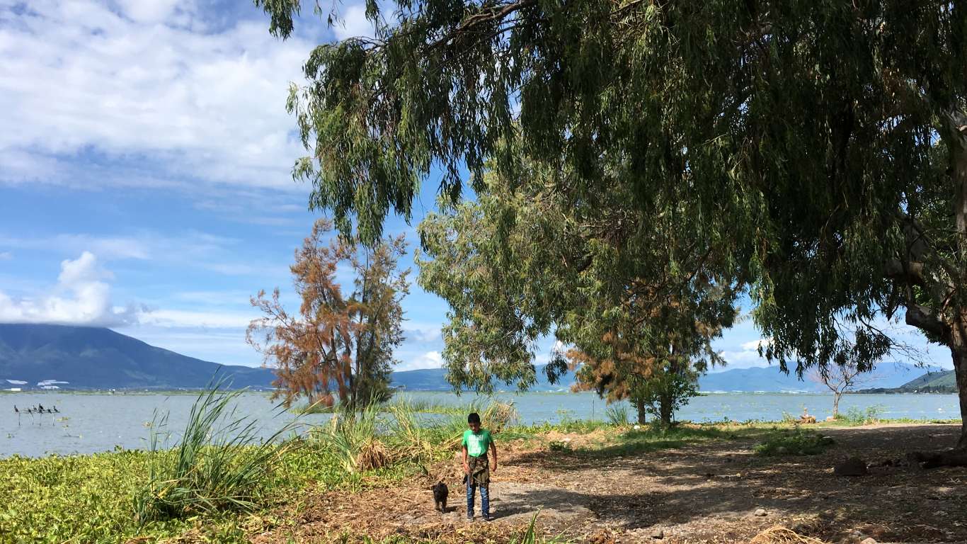 boy on lake
              shoreline with low mountains beyond, lovely trees and blue
              cloudysky