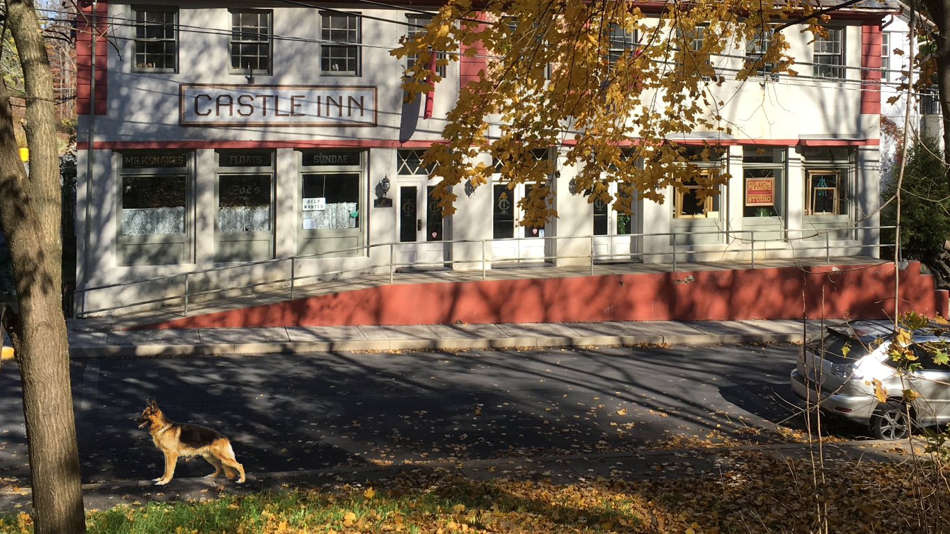 old inn labeled 'Castle Inn' with a
              German shepherd in foreground