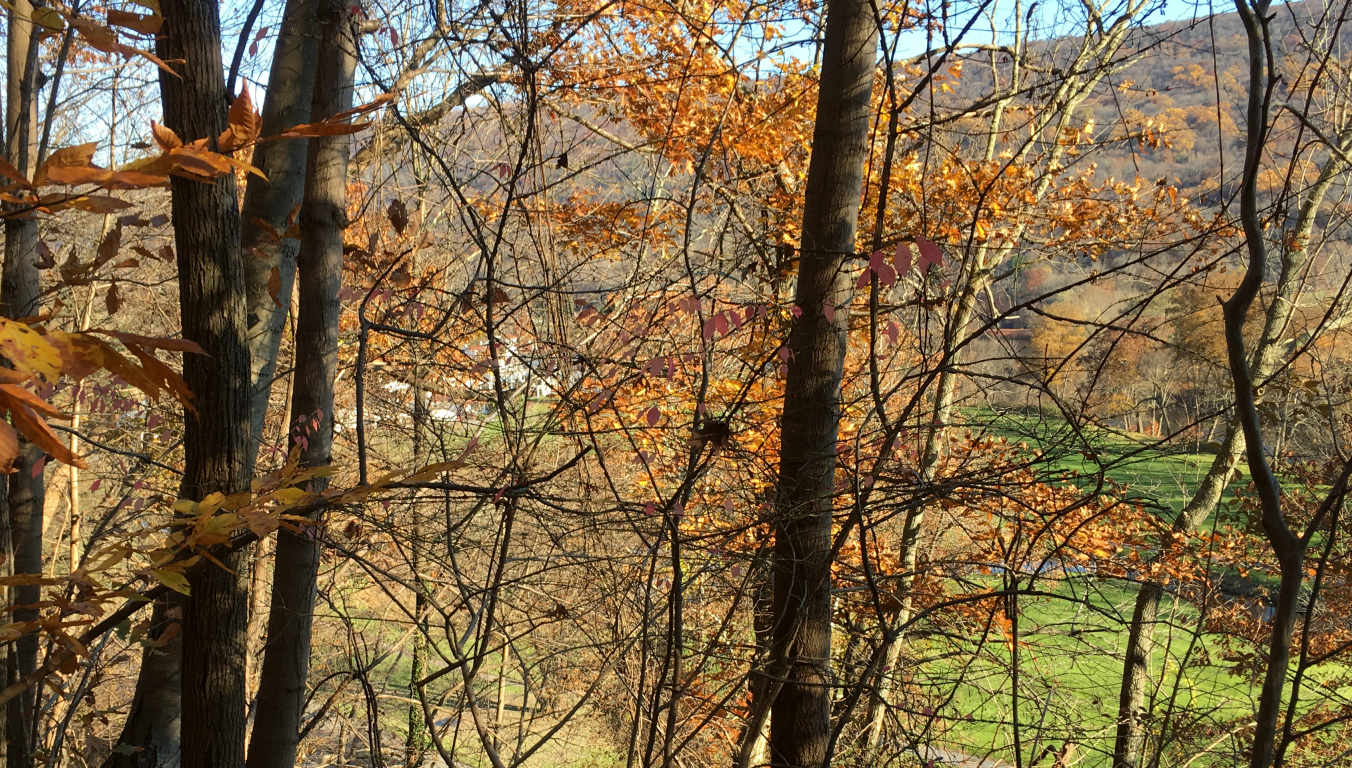 white Shawnee Inn and golf greens barely visible
              through fall foliage, mountain on far side of golf course