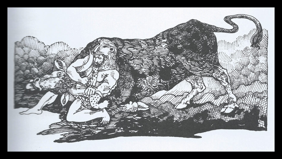 black and white line drawing of Hercules in
                a lion cape wrestling a bull by the horns to the ground