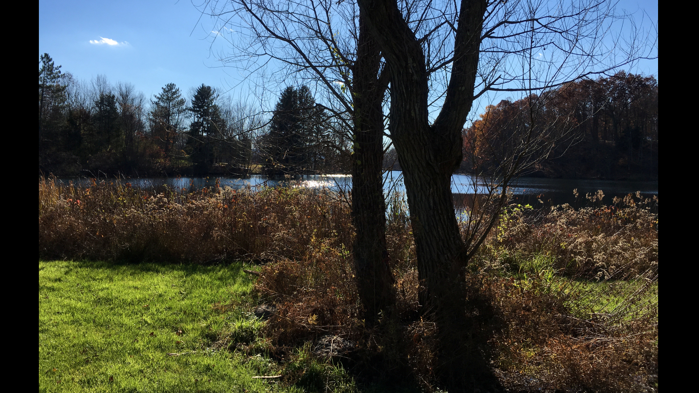 Spring Lake backlit by late afternoon
              sun, surrounded by meadows and woods